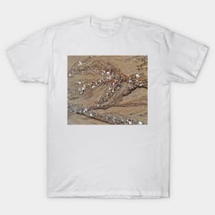 Sand, Sea, and Stones, Sculpted by the Sea. T-Shirt